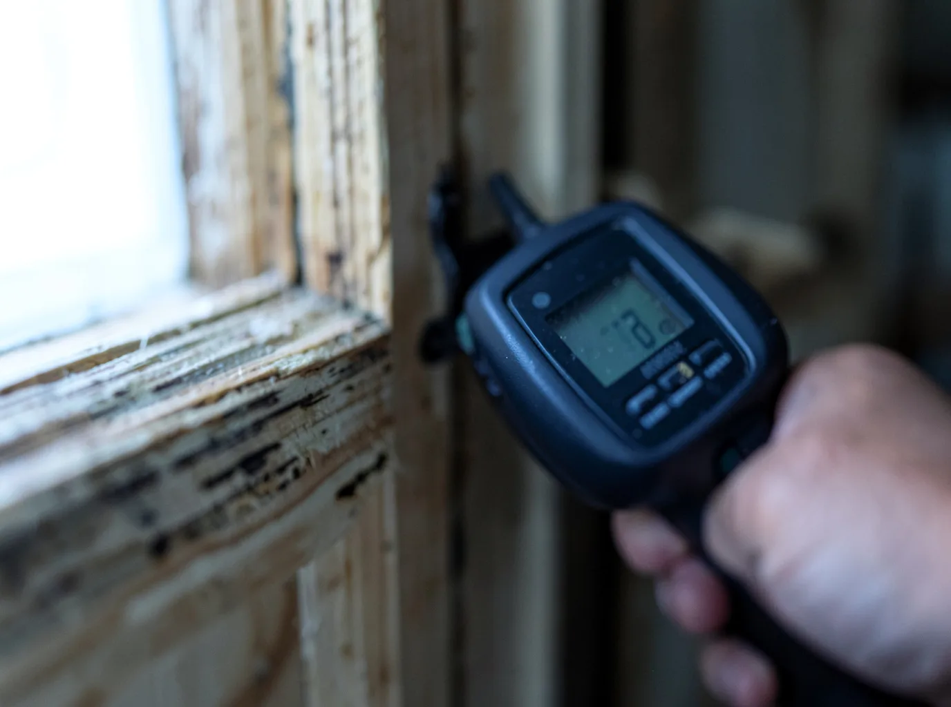 Moisture Inspection And Documentation in Powder Springs, TN